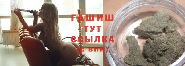 твердый Надым