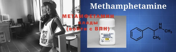 прущие грибы Нефтекумск