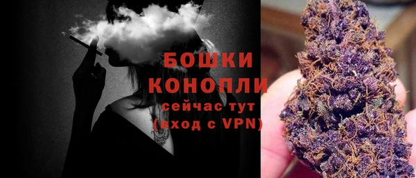тгк Нея