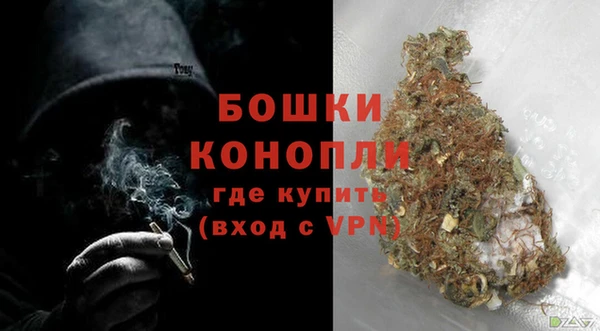 тгк Нея