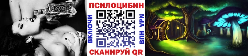 hydra ссылки сайты даркнета клад Псилоцибиновые грибы Psilocybe Избербаш