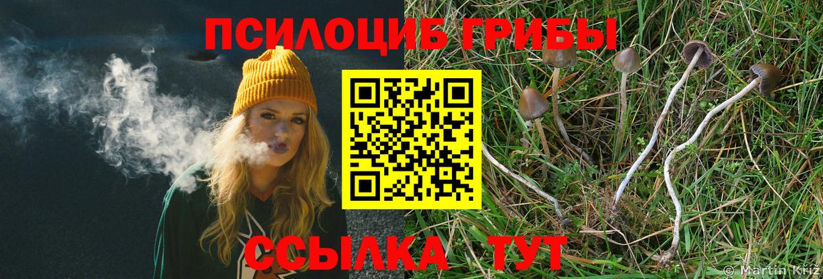 Избербаш  Псилоцибиновые грибы ЛСД  Вход с VPN  Галлюциногенные грибы MAGIC MUSHROOMS 