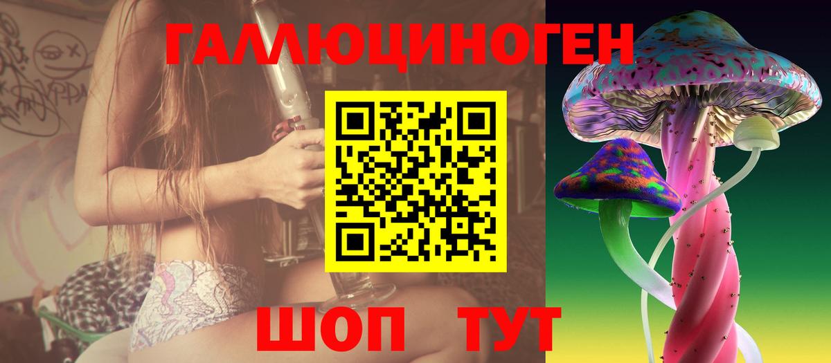 Псилоцибиновые грибы Psilocybine cubensis Избербаш