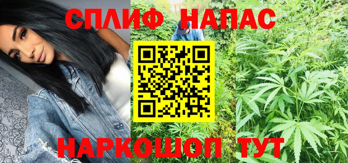 Конопля план  Бошки марихуана конопля  Вход с VPN  Избербаш  Марихуана VHQ  Канабис White Widow 